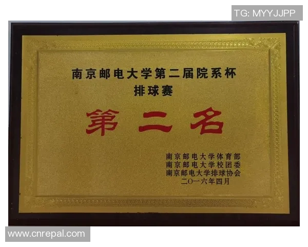 南京排球队耐力研究：提升竞技水平的关键因素分析与探讨