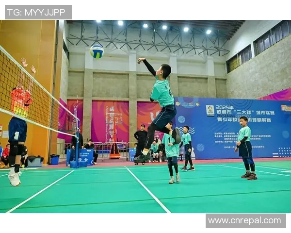 排球巨献：深入解析成都排球队员的个人技术与战术素养