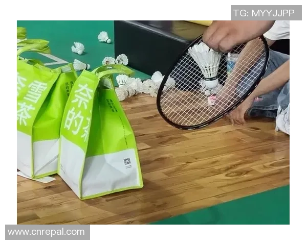 羽毛球的魅力与挑战：西安羽毛球队的反击之路探秘