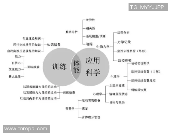 北京排球队节奏表现数据分析揭示战术优势与改进空间