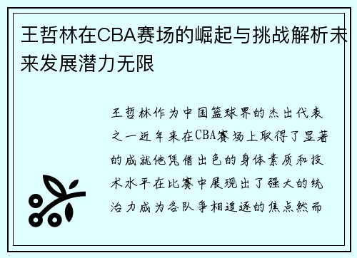 王哲林在CBA赛场的崛起与挑战解析未来发展潜力无限